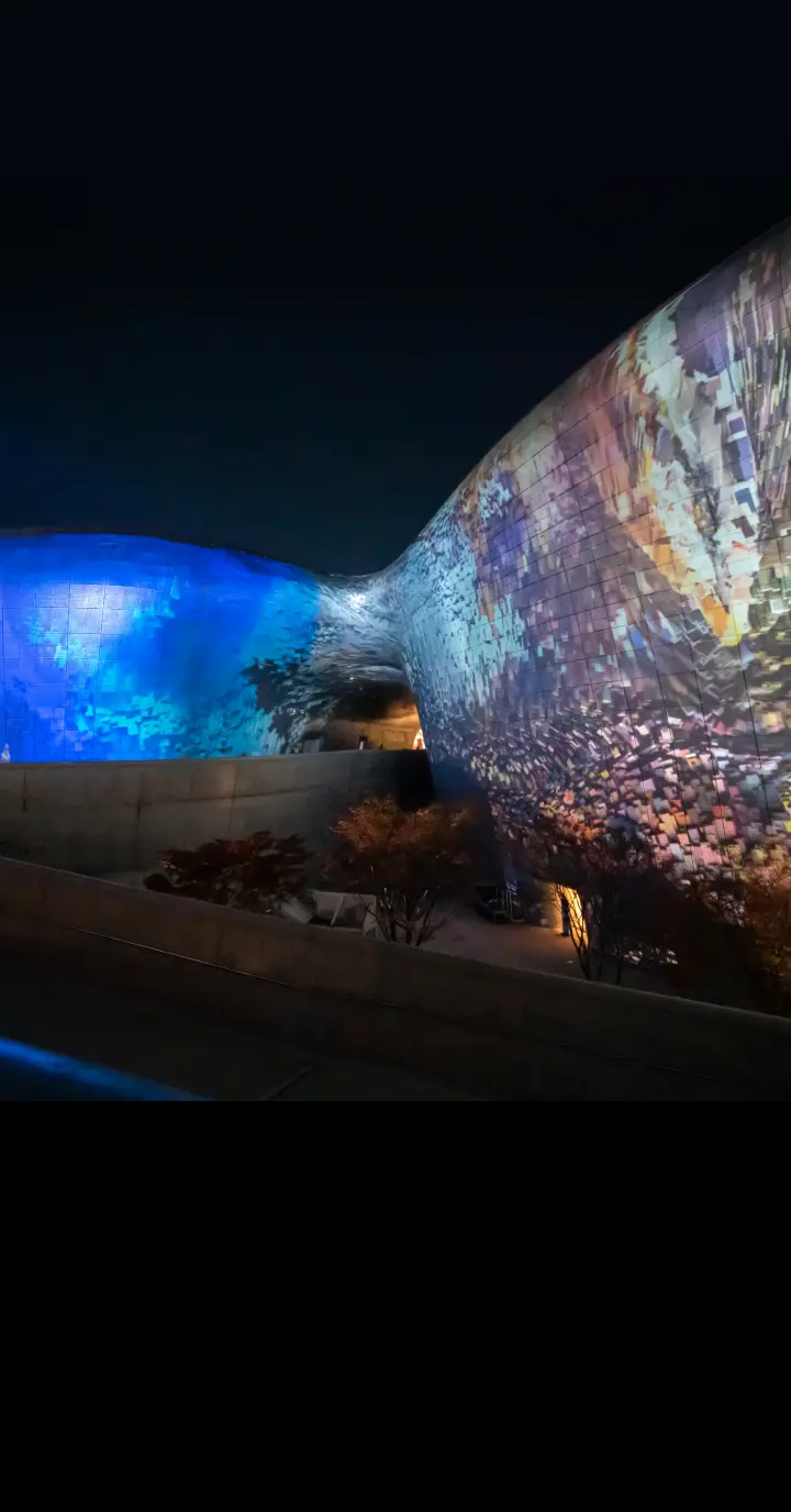 ddp nft gallery